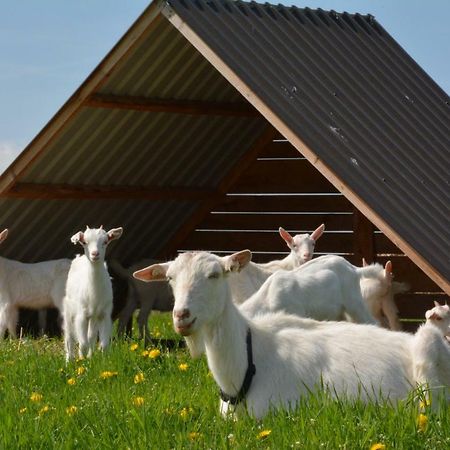 Farma Klinec Villa Екстериор снимка