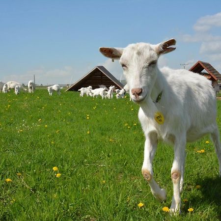 Farma Klinec Villa Екстериор снимка